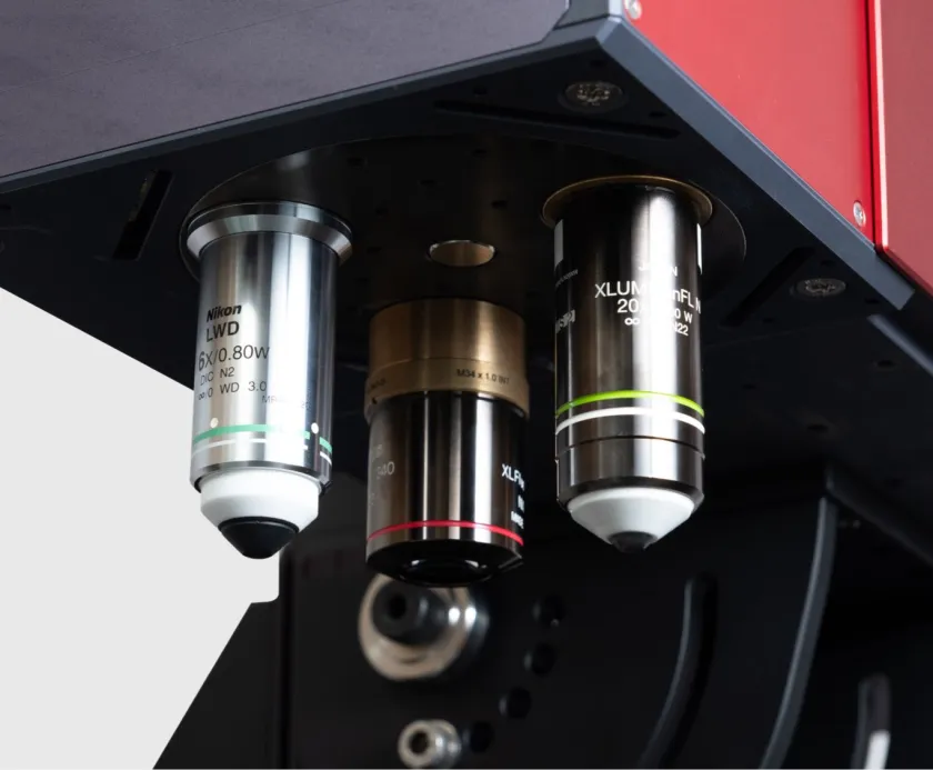 Prospective Instruments Multiphoton Excitation Microscope - MPX
