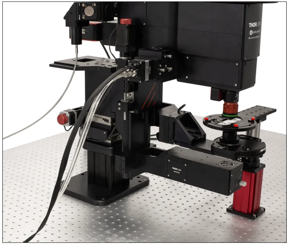 Thorlabs Multiphoton Excitation Microscope - BERGAMO | MEETOPTICS